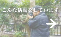 こんなメンバーです