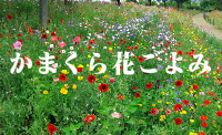 あなたも参加しませんか？